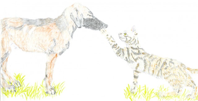 Kein Weihnachtsgeschenk?Da hab ich die Idee!!! - Katzen Zubehoer - Rottenburg