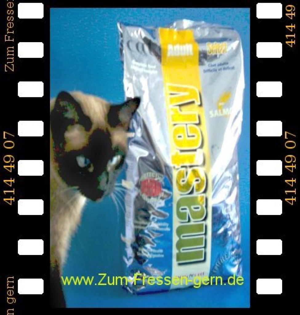 Mastery Superpremium Trockenfutter für Katzen ! - Zubehoer - Berlin