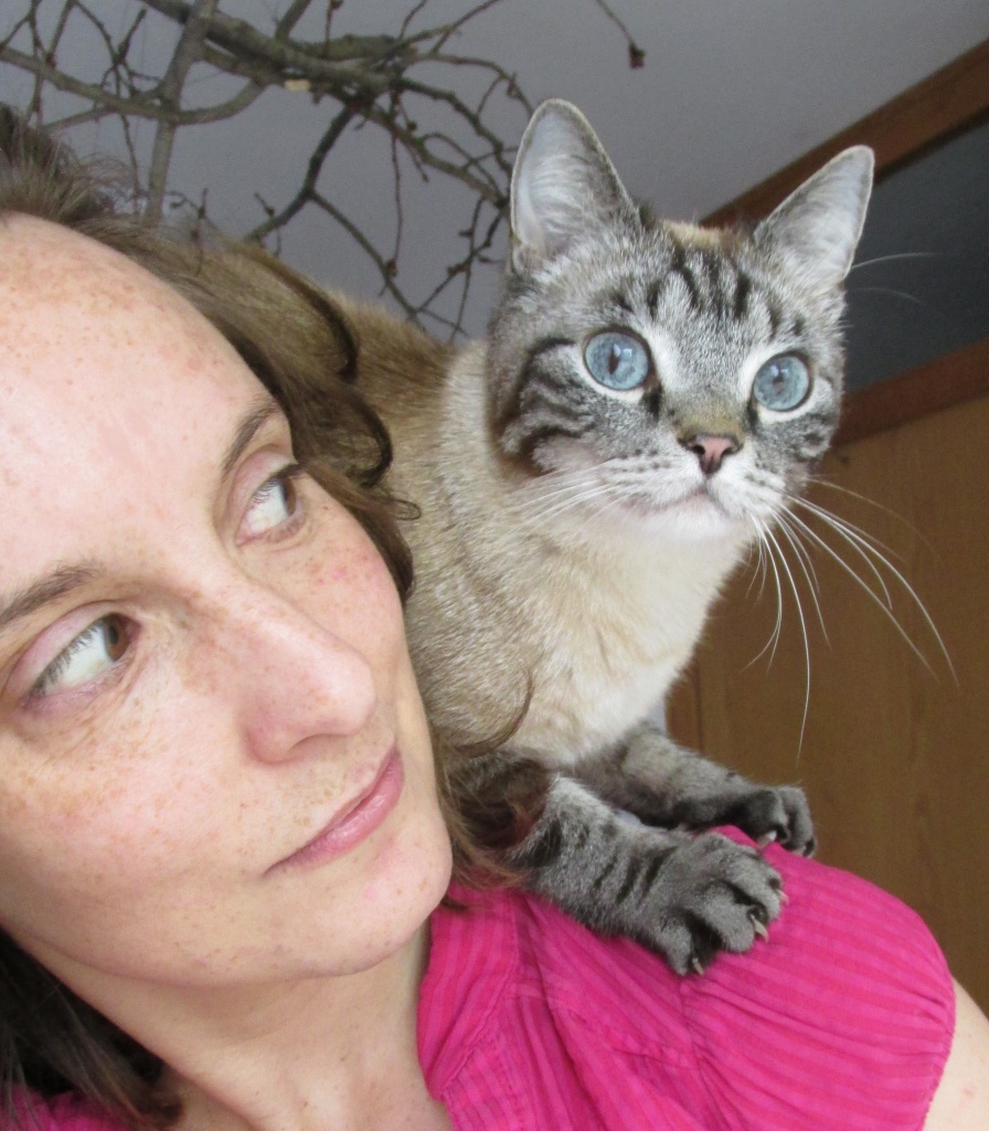 Tierbetreuung, mobile Katzenbetreuung, Katzensitting - Katzensitter - Fürth