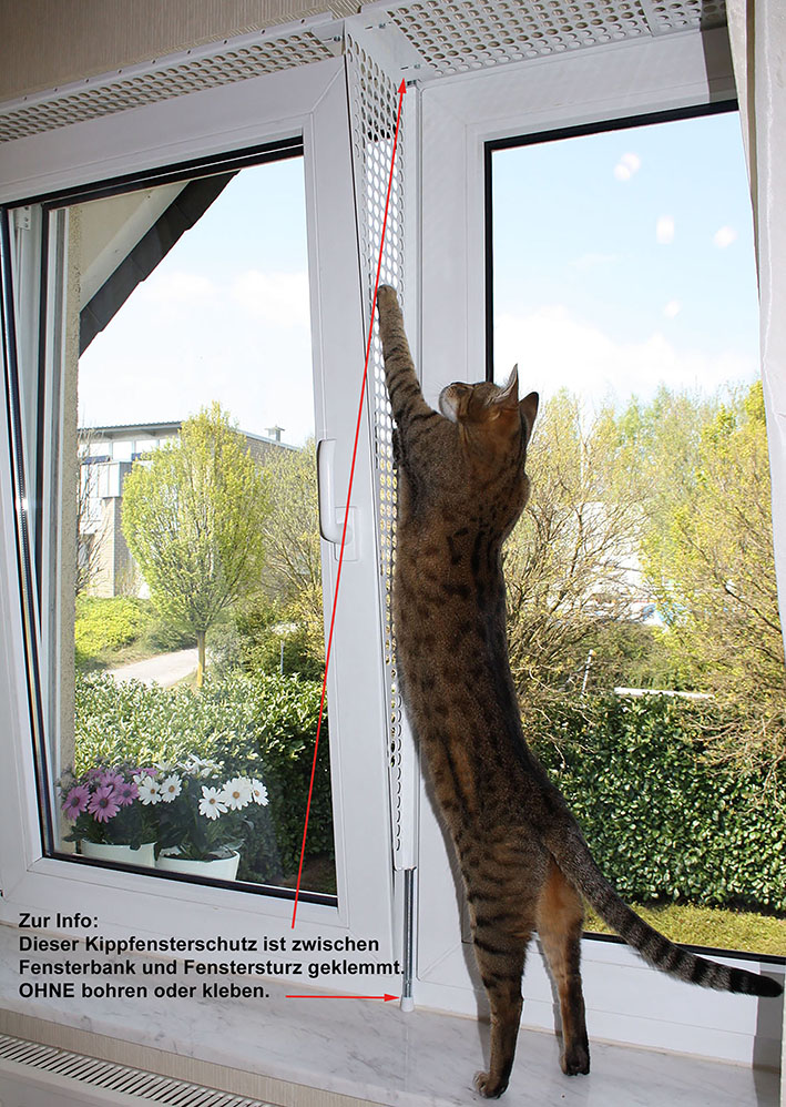 Kippfensterschutz für Katzen, ohne das Fenster zu beschädigen - Zubehoer - Haan