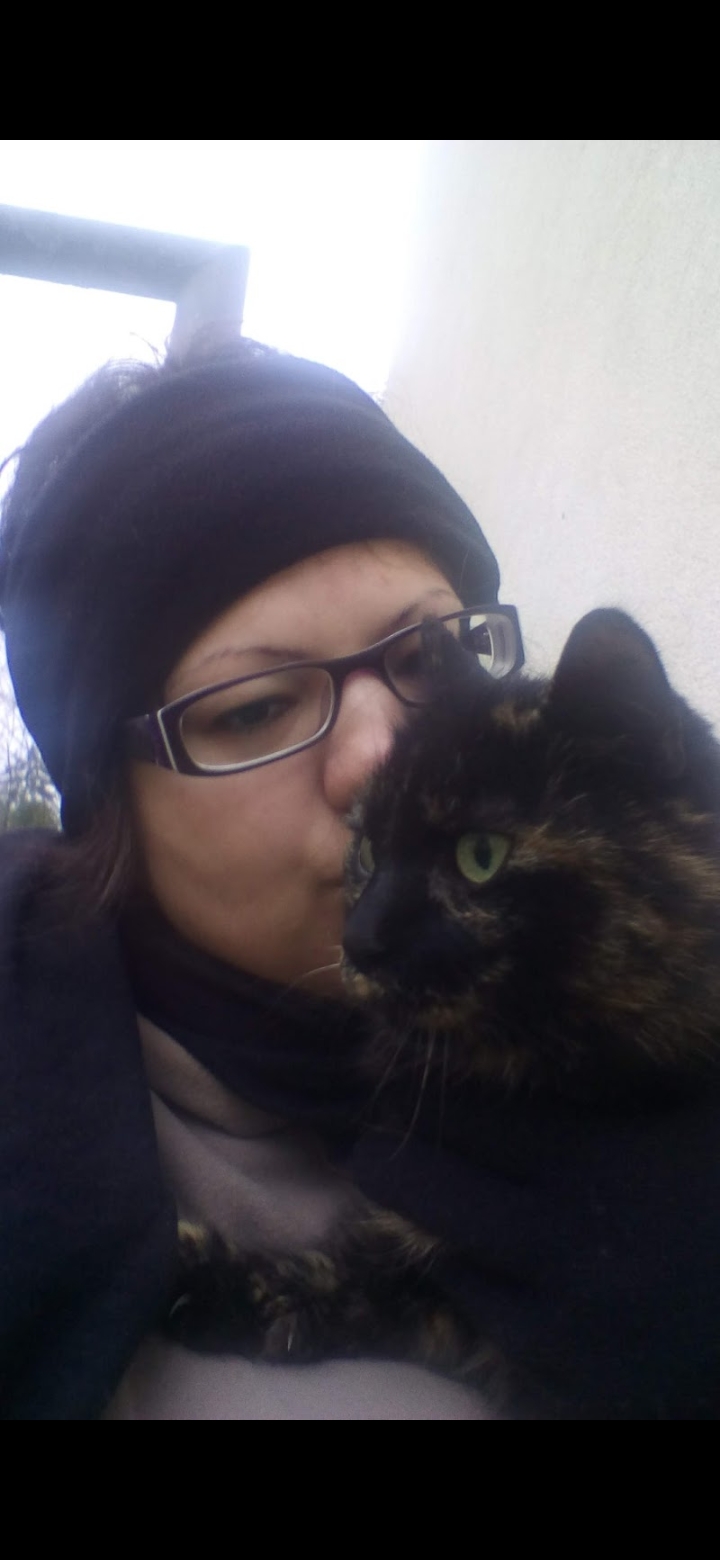 Ich suche eine junge Wohnungskatze - Hauskatzen - Darmstadt