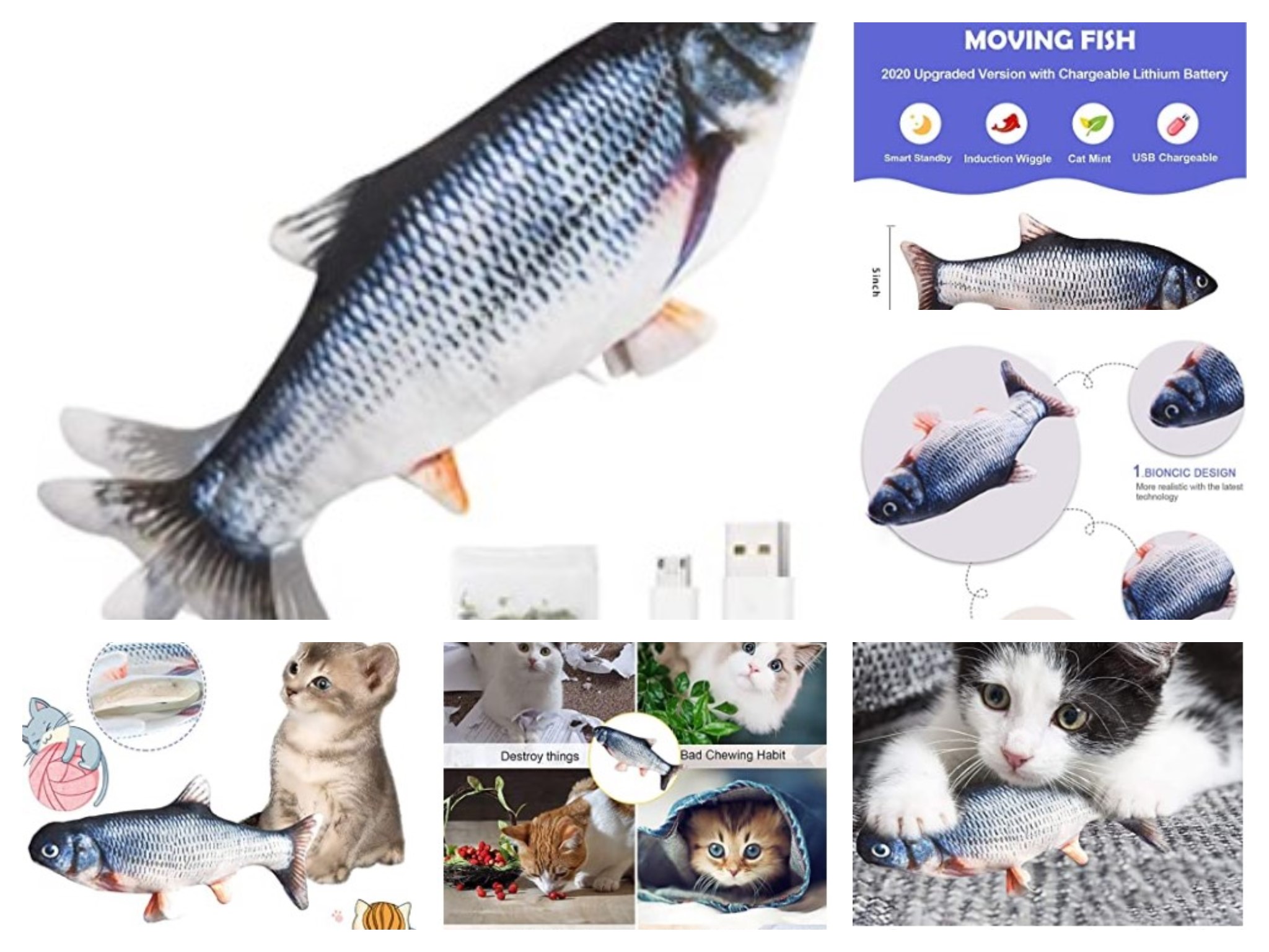 NEU Spielzeug Fisch für Katzen ideal auch um zu verschenken - Zubehoer - Niedersachsen - Bodenwerder