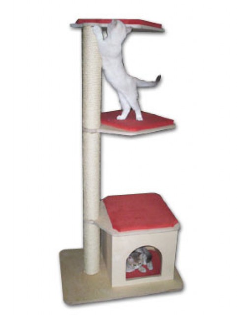 Hochwertige Kratzbäume direkt vom Hersteller - Katzen Zubehoer - Nörtershausen