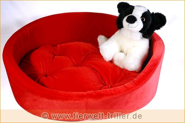 Zubehör und viel mehr... - Katzen Zubehoer - Bramsche