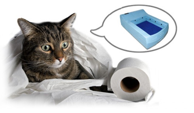 Chance 2009, Weltneuheit Katzenklo mit Wasserspülung. - Katzen Zubehoer - Tunau