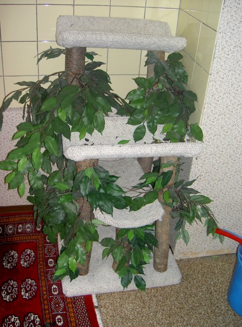 Kratzbaum Cat Palace - Katzen Zubehoer - Tuttlingen