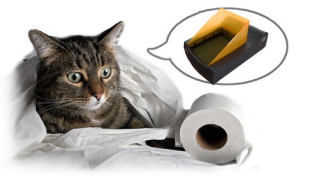 Die erste Katzen Wassertoilette mit echter Wasserspülung. - Katzen Zubehoer - BC