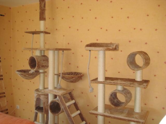 Wunderschöne Kratzlandschaft zu verkaufen - Katzen Zubehoer - Rhauderfehn