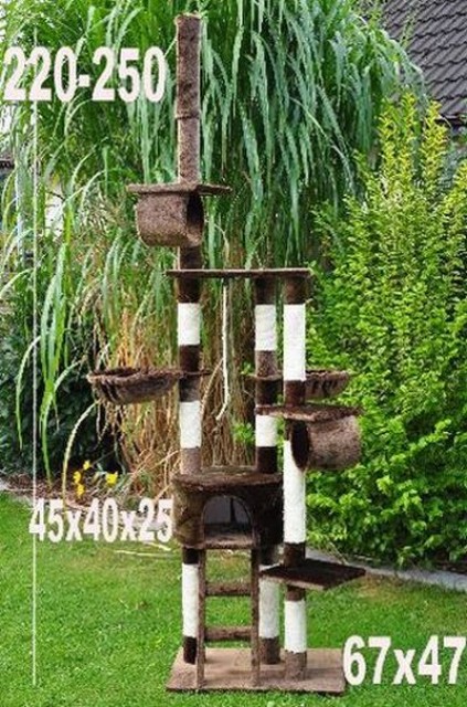 Diverses Katzenzubehör zu verkaufen! (Kratzbaum, Transportbox...) - Katzen Zubehoer - Erfurt