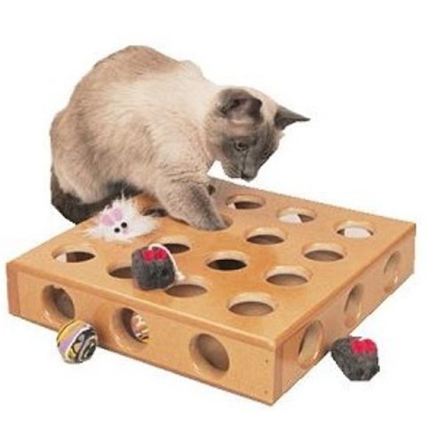 NEU: Peek-A-Prize Katzenspielzeug - Katzen Zubehoer - Feldkirchen-Westerham