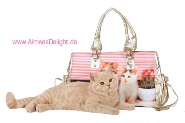 Katzengeschenke, Trendartikel und Accessoires für Katzenfans - Katzen Zubehoer -  Kirchheim
