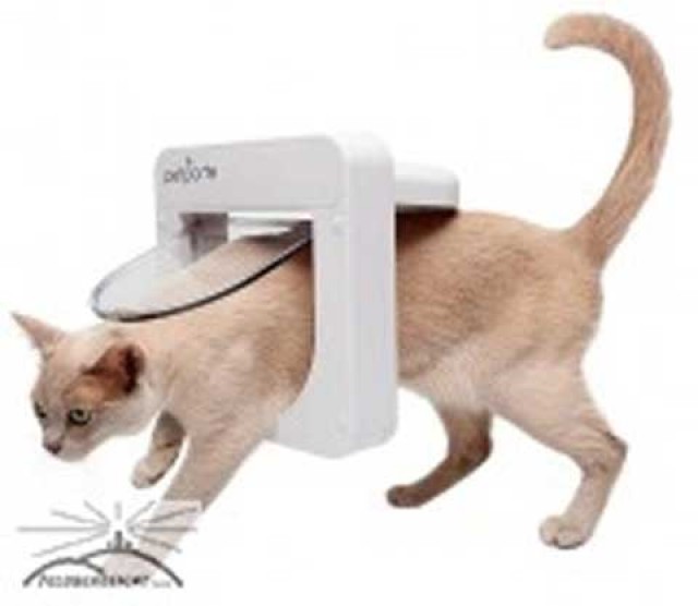 Chip-Katzenklappe kein Halsband mehr nötig! - Katzen Zubehoer - Spalt
