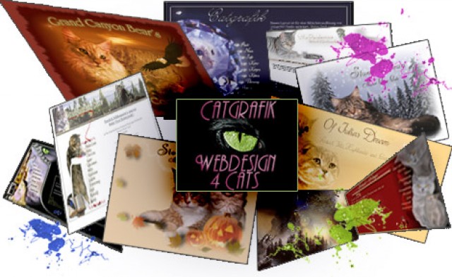 Webdesign für Katzenzüchter - Katzen Zubehoer - Wolfsburg