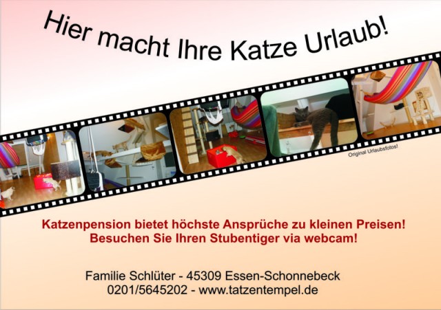 Katzenpension Nrw Essen - mit Webcam bietet höchste Ansprüche zu kleinen Preis - Katzensitter - Essen