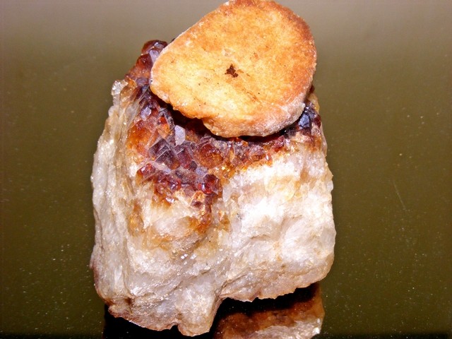 Die Peanuts sind da - Katzen Zubehoer - Wuppertal