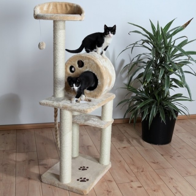 Kratzbaum mit Liegeplatte und Kuschelhöhle , Höhe 138 cm - Katzen Zubehoer - Bruckmühl