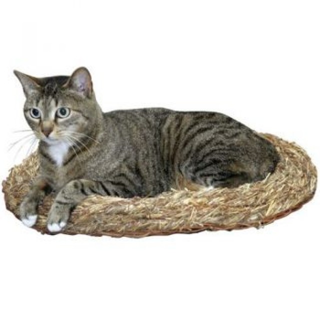 Grasbett für Katzen - Katzen Zubehoer - Bruckmühl
