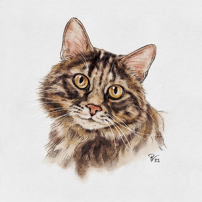 Besonderheit: Katzenportraits; Tierportraits ab Foto im Miniformat - Zubehoer - Obrigheim
