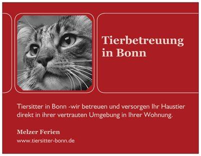 Tiersitter in Bonn - Katzensitter - Bonn