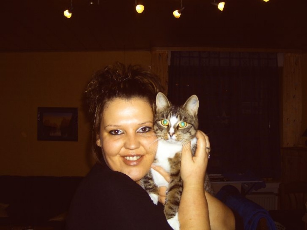 Melanie´s mobile Katzenbetreuung - Katzensitter - Kleve