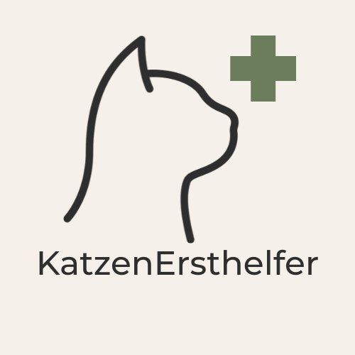 Online Notfall-Kurs für Katzen - Zubehoer - Schönebeck