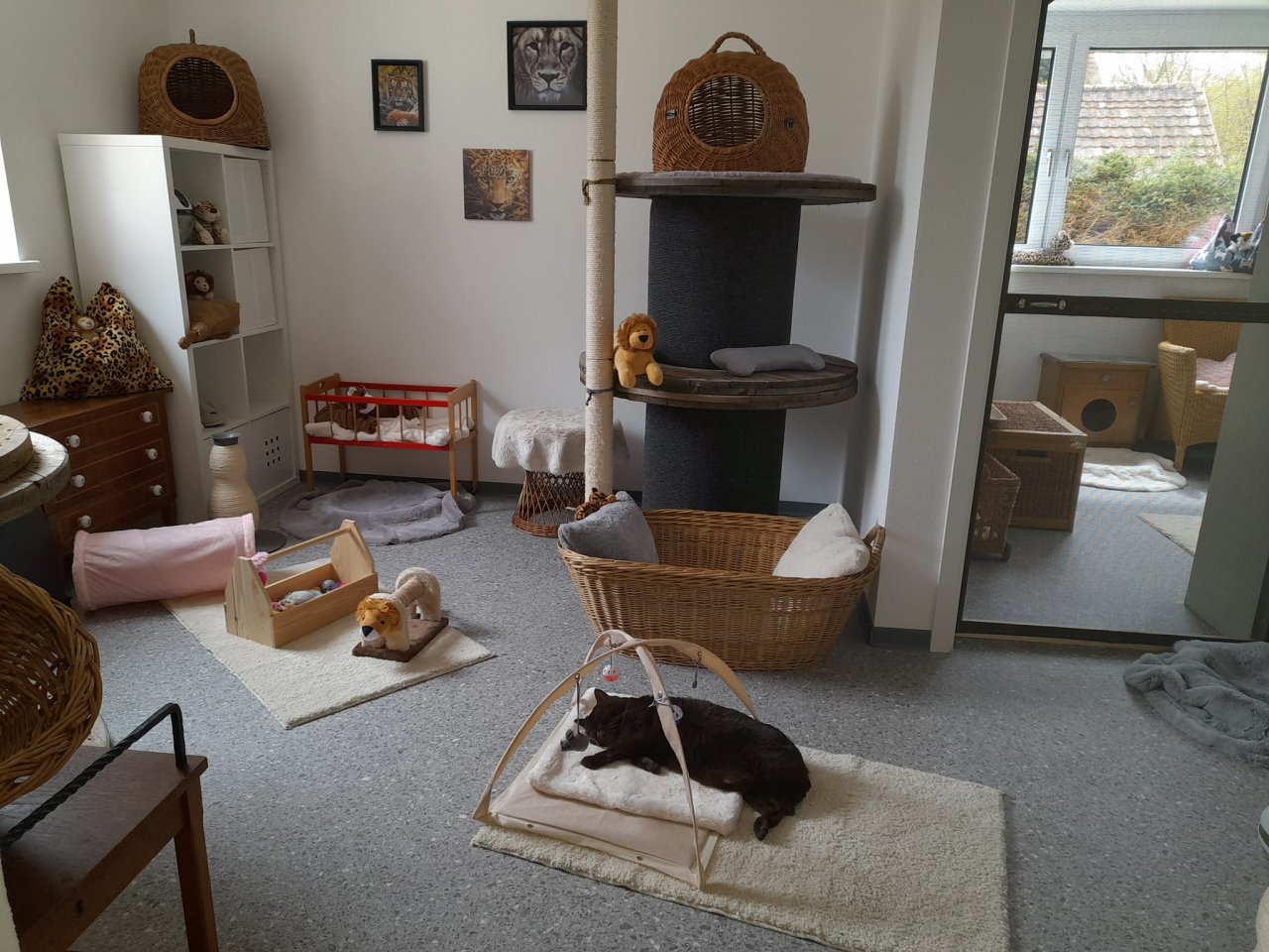 Katzenpension Eisenlauer - Katzensitter - Unterbleichen